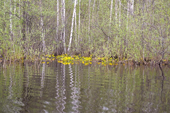 Пейзажи природы средней полосы России весной