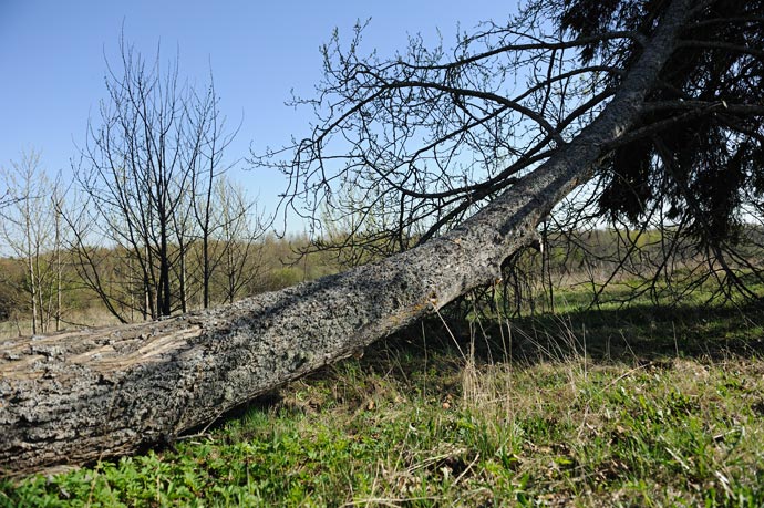 Пейзажи природы средней полосы России весной