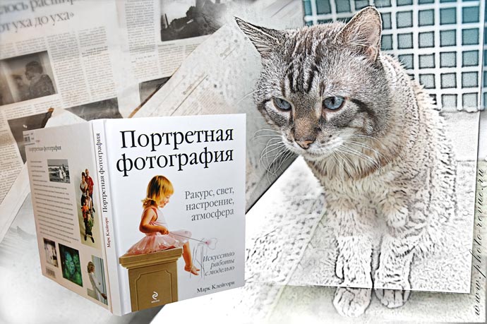 Кот с книгой Марка Клейгорна Портретная фотография